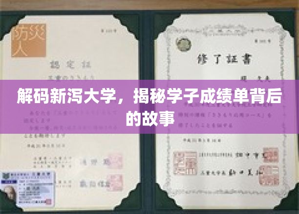 解码新泻大学，揭秘学子成绩单背后的故事