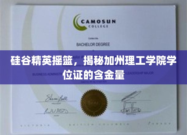 硅谷精英摇篮，揭秘加州理工学院学位证的含金量