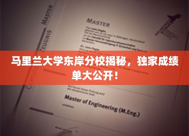 马里兰大学东岸分校揭秘，独家成绩单大公开！
