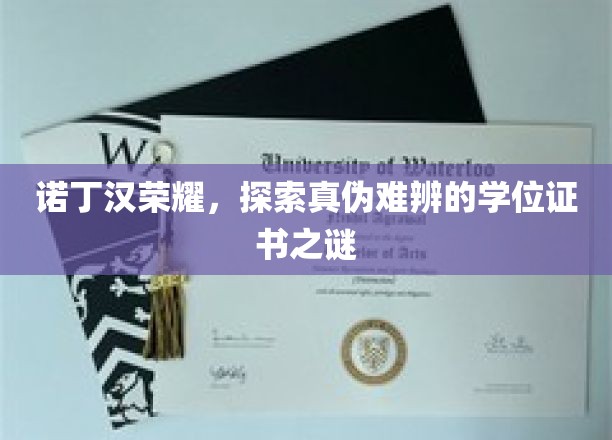 诺丁汉荣耀之谜，揭秘真假学位证书的迷雾之旅