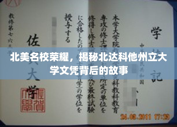 北美精英摇篮，探寻北达科他州立大学学位的非凡历程