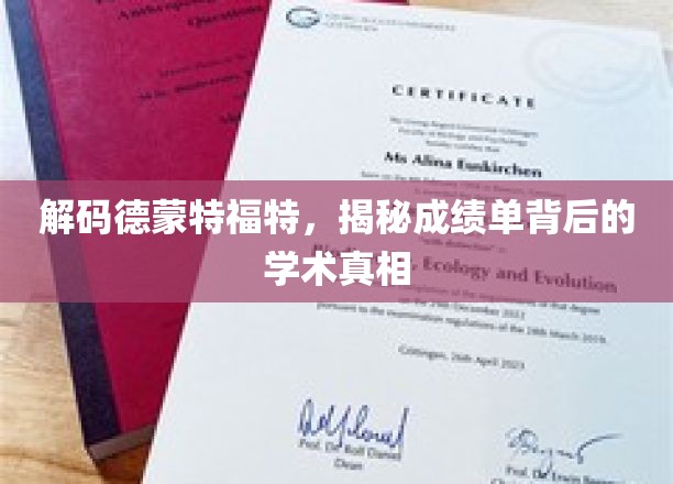 解锁德蒙特福特，成绩单背后的学术密码