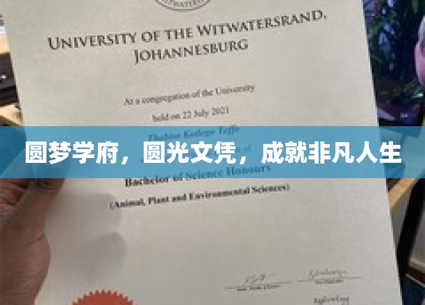 圆梦学府，圆光文凭，成就非凡人生