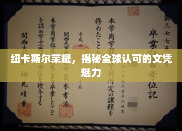 纽卡斯尔大学，国际认可的文凭背后的独特魅力