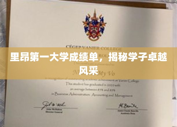 里昂第一大学成绩单，展现学子非凡才华