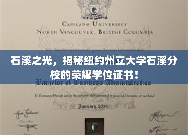 石溪之光，揭秘纽约州立大学石溪分校的荣耀学位证书！