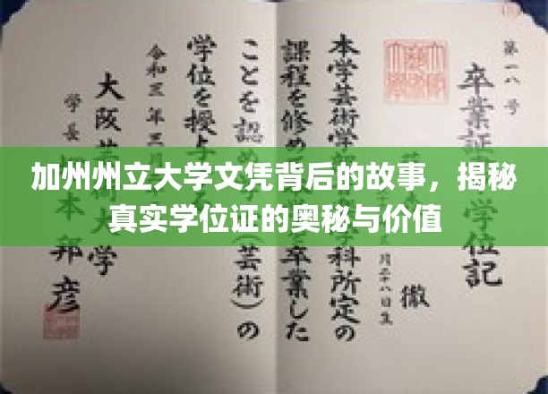 加州州立大学文凭探秘，探寻学位证的深层价值与传奇背后