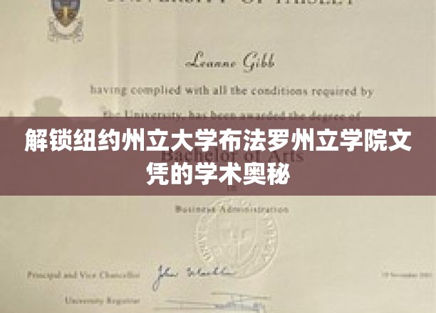 探寻纽约州立大学布法罗学院文凭背后的学术秘境