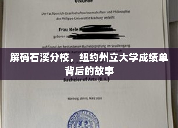石溪分校揭秘，纽约州立大学成绩单背后的传奇篇章