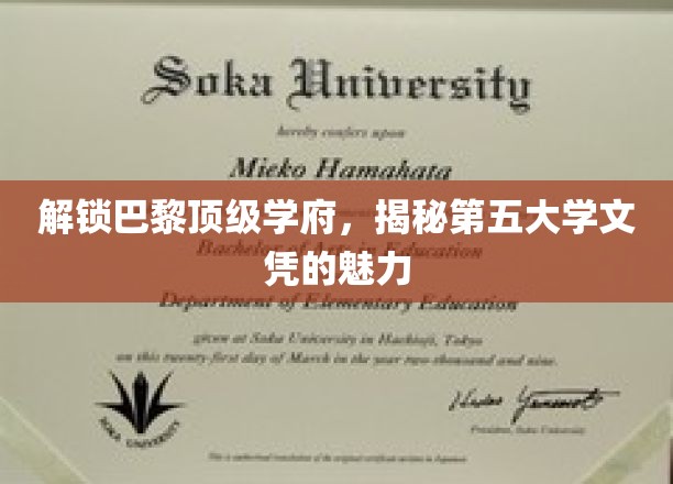 巴黎第五大学文凭背后的非凡魅力揭秘