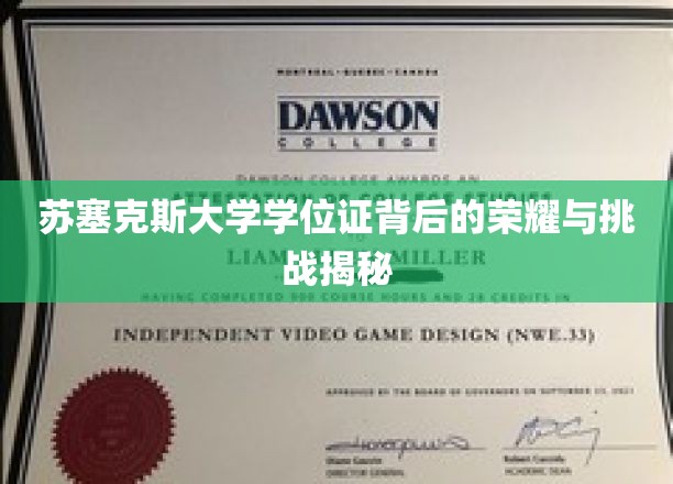 苏塞克斯大学学位证背后的荣耀与挑战揭秘