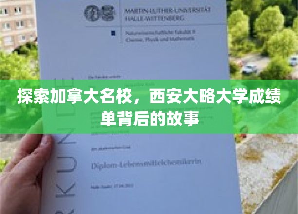 加拿大名校探秘，西安大略大学成绩单背后的精彩篇章