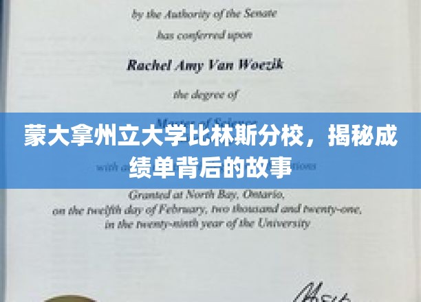 蒙大拿州立大学比林斯分校，揭秘成绩单背后的故事