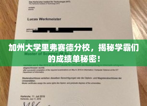 加州大学里弗赛德分校，揭秘学霸们的成绩单秘密！