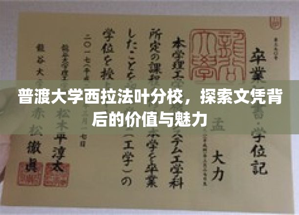 解码普渡大学西拉法叶分校，文凭之光背后的故事与价值