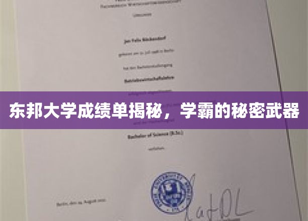 东邦大学成绩单揭秘，学霸的秘密武器