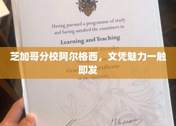 芝加哥分校阿尔格西，文凭之光，闪耀全球教育舞台
