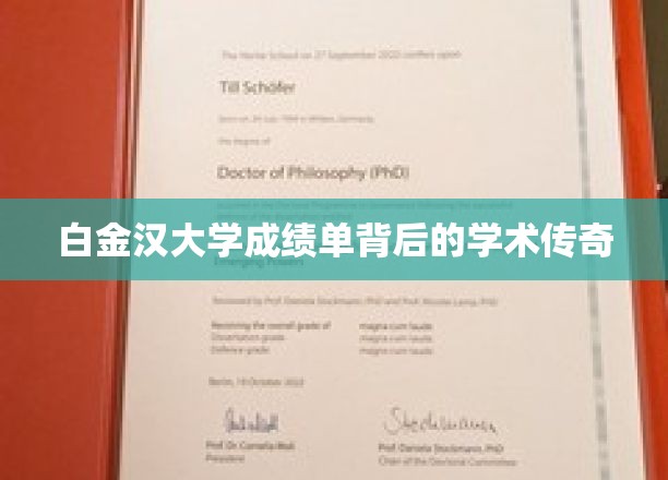 白金汉大学成绩单背后的学术传奇