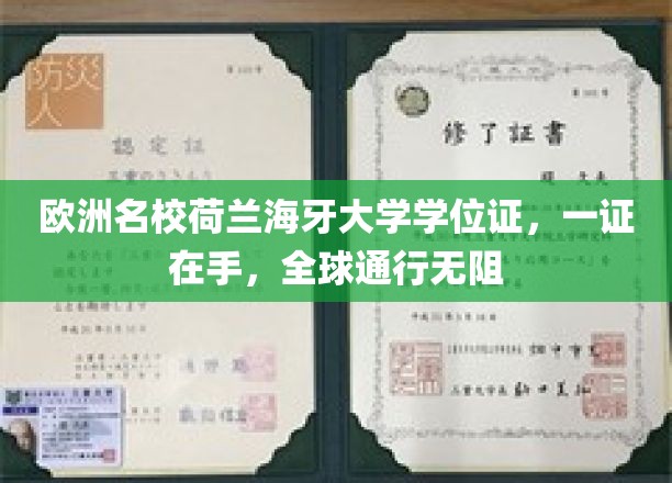 欧洲通行证在手，荷兰海牙大学学位证书，解锁全球职场新境界