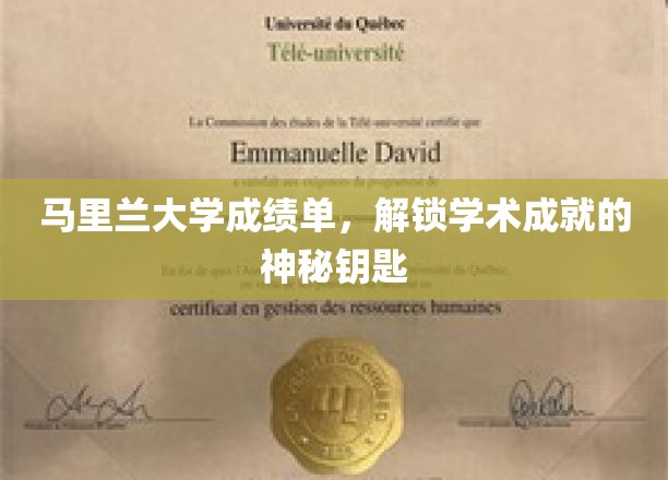 探索马里兰大学成绩单，解锁你的学术荣耀之门