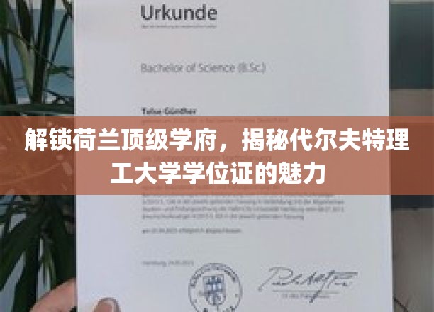 探秘荷兰代尔夫特理工，学位证背后的非凡价值
