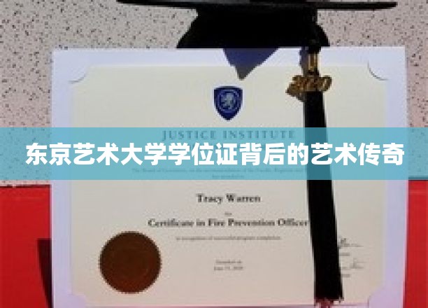 艺术殿堂的通行证，揭秘东京艺术大学学位证的传奇故事
