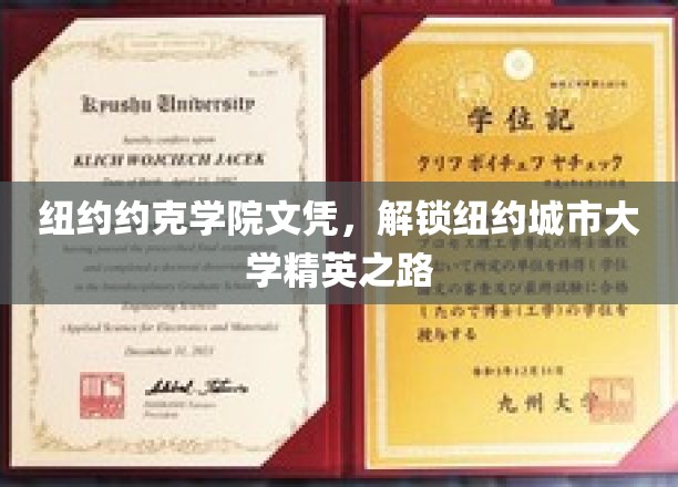 纽约约克学院文凭，助你踏上纽约城市大学精英启航之旅