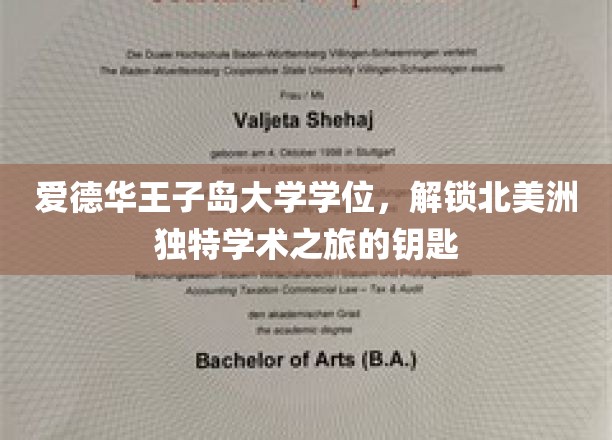 解锁北美洲学术奇境，爱德华王子岛大学学位之旅