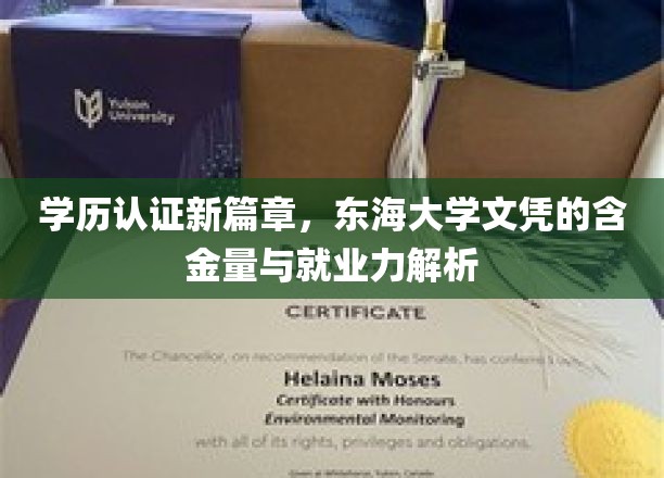 东海大学文凭新视界，解码高学历在职场中的价值与影响力