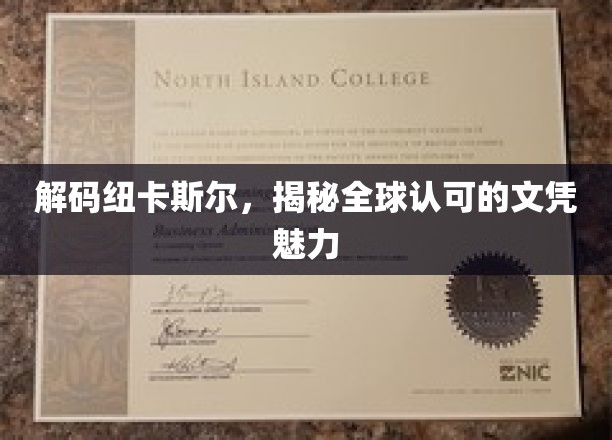 探寻纽卡斯尔大学，国际认可的文凭背后的非凡魅力