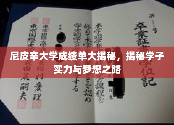 尼皮辛大学学子实力揭秘，逐梦之路的璀璨成绩单大公开