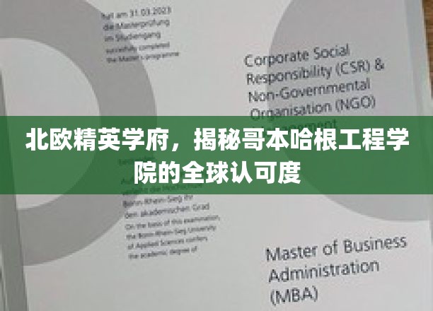 探索哥本哈根工程学院，北欧教育界的璀璨明珠