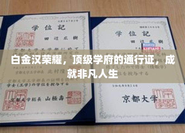 白金汉荣耀，顶尖学府的精英之路，开启非凡人生篇章