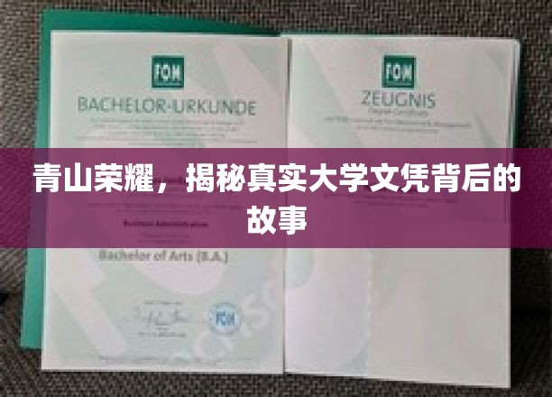 文凭背后的传奇，揭秘高校荣耀背后的真实历程