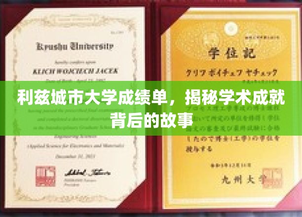 利兹城市大学成绩单，揭秘学术成就背后的故事