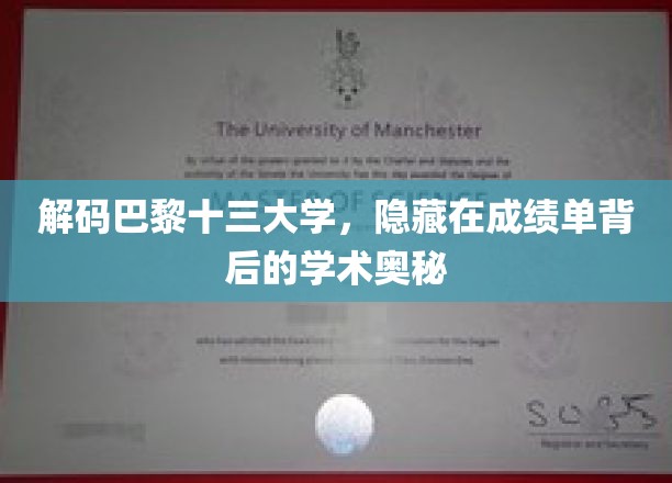 解码巴黎十三大学，探寻成绩单背后的学术奥秘