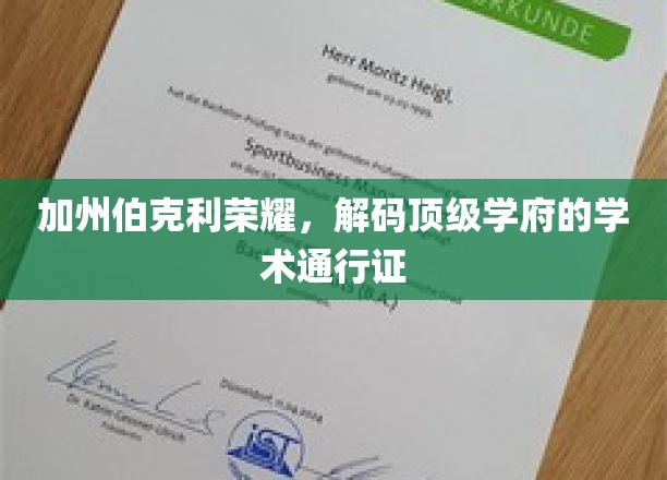解码伯克利传奇，揭秘顶尖学府的学术密码