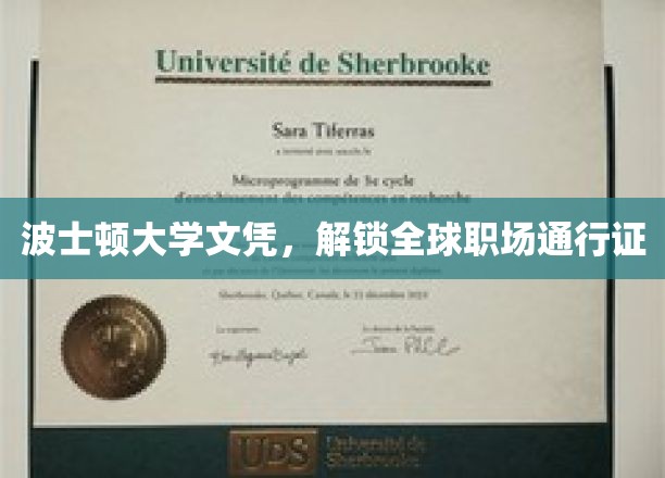 波士顿大学学历，全球职场通行证的黄金钥匙