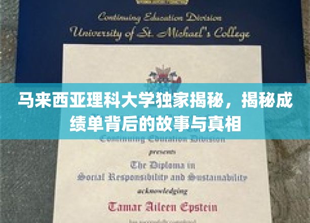 理科大学成绩单背后的秘密，揭开学术成就的神秘面纱