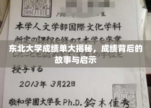 东北大学成绩单大揭秘，成绩背后的故事与启示