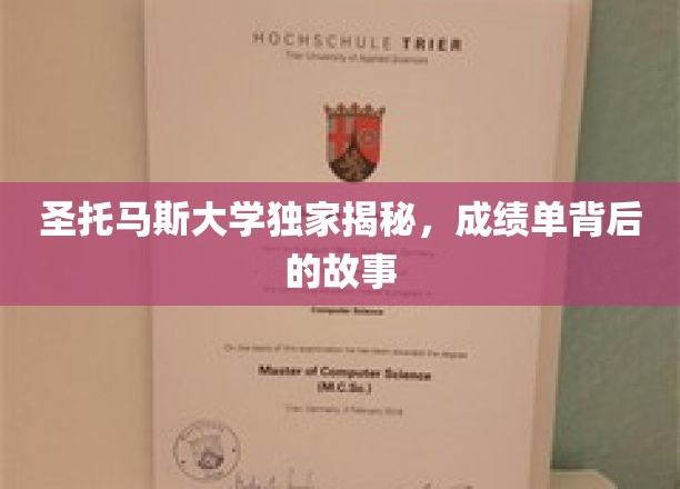圣托马斯大学独家揭秘，成绩单背后的故事