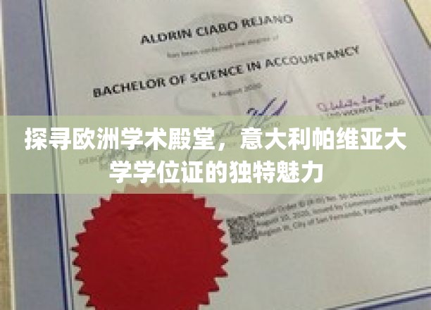穿越文艺复兴足迹，揭秘帕维亚大学学位证的千年风华