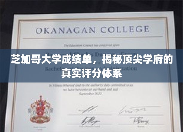 揭秘芝加哥大学评分奥秘，揭秘顶尖学府背后的评分体系真相