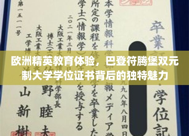 探寻巴登符腾堡双元制教育精髓，欧洲精英学府的独特学位魅力