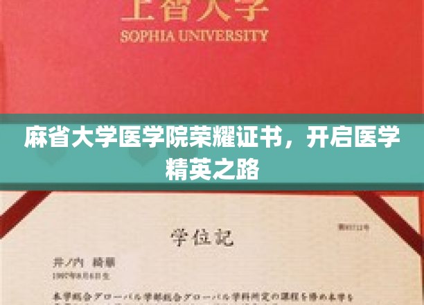 麻省大学医学院荣耀证书，开启医学精英之路