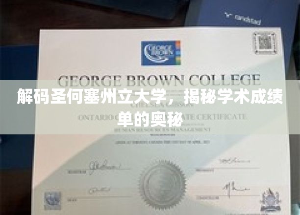 探寻圣何塞州立大学成绩单背后的秘密世界