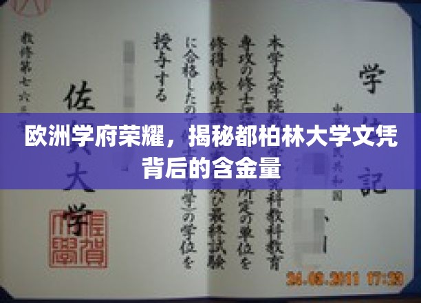 探索都柏林大学学位的全球认可与价值魅力