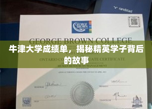 揭开牛津精英背后的成绩单传奇