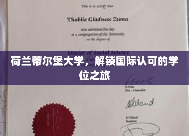 跨国学位奥秘，蒂尔堡大学带你领略国际教育风采