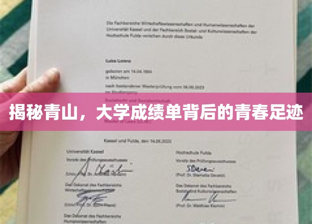 成绩单映照青春，探寻青山大学背后的成长印记